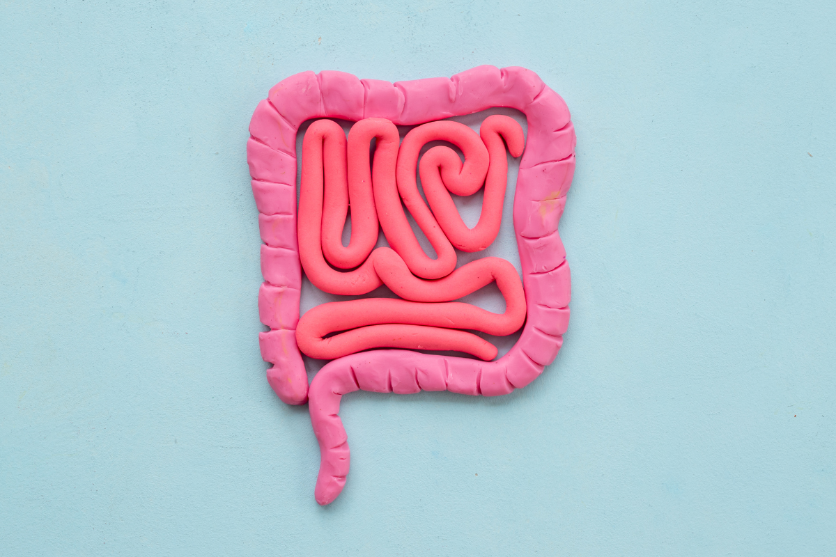 Gut Health Myths vs Facts: What You Should Really Know